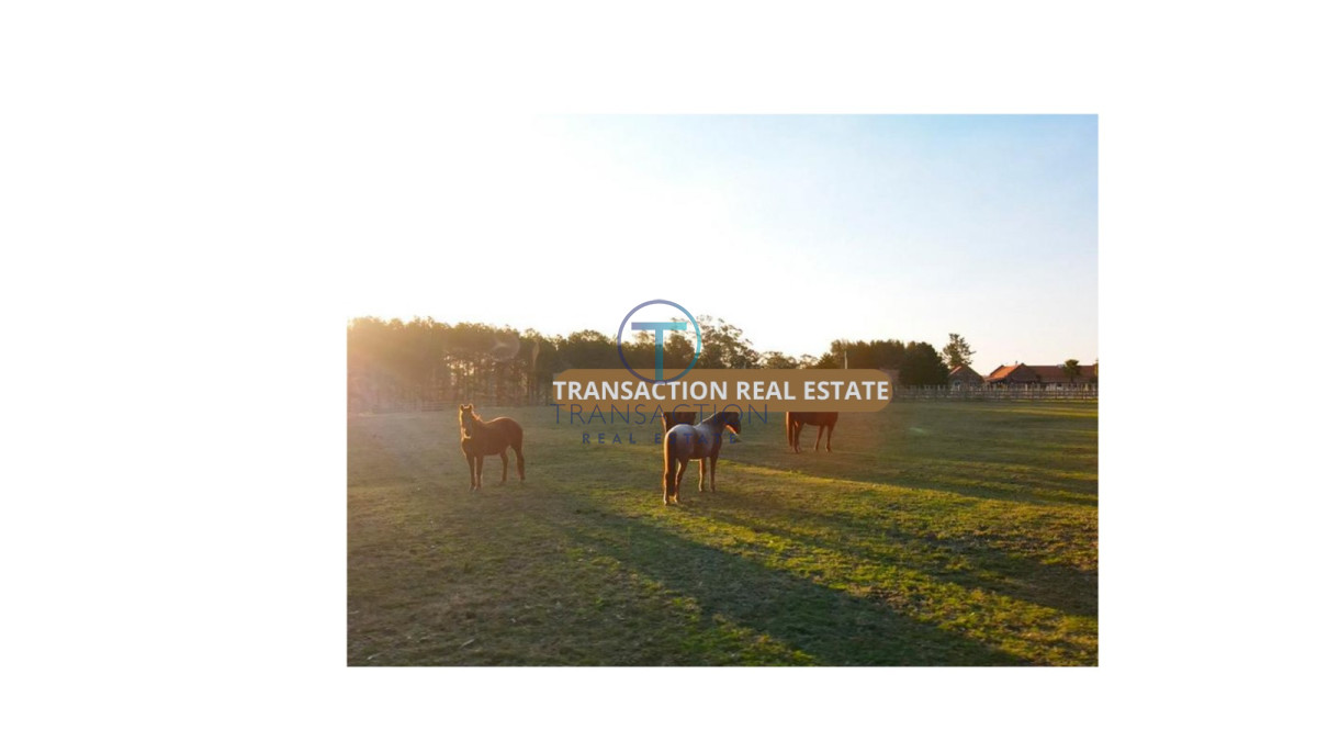 Casa ID.896/Casas-en-Venta--Transaction-Real-Estate - Espectacular Chacra con Viñedo