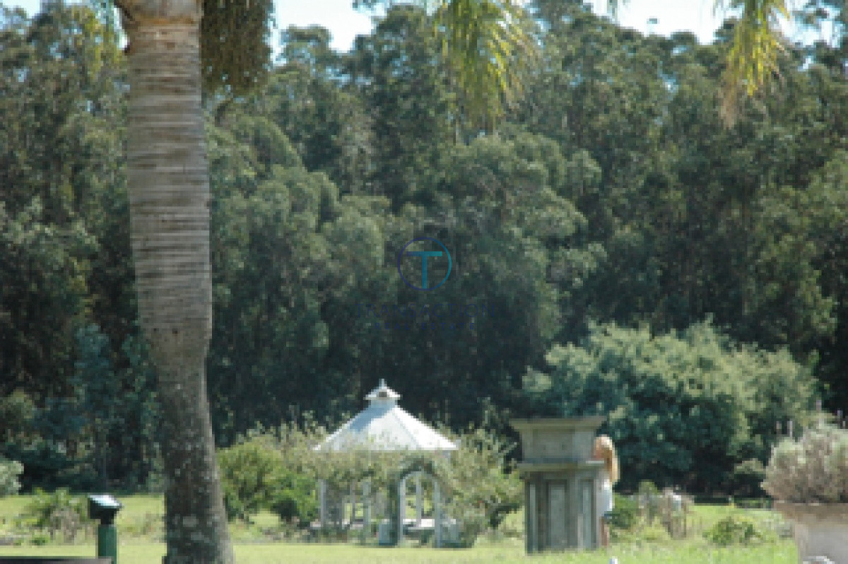 Chacra ID.262/Chacras-en-Venta--Transaction-Real-Estate - Chacra Exclusiva en Ruta 104