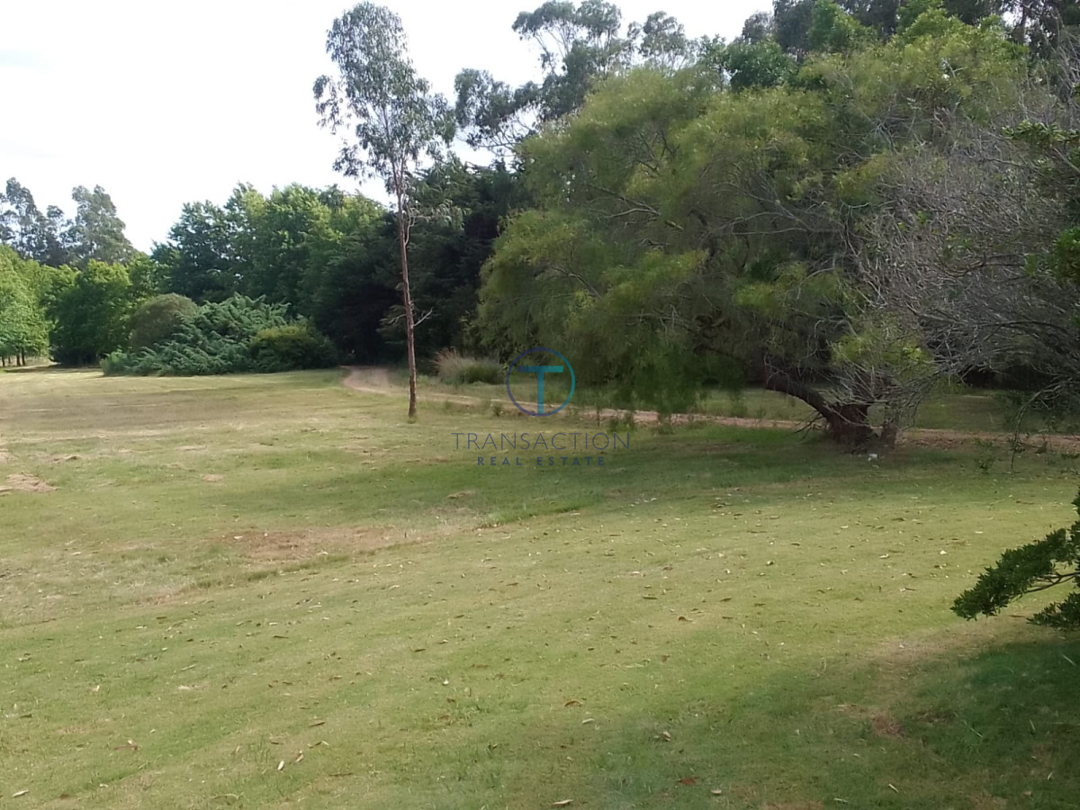 Chacra ID.169 - Chacra en Punta del Este - La Barra -