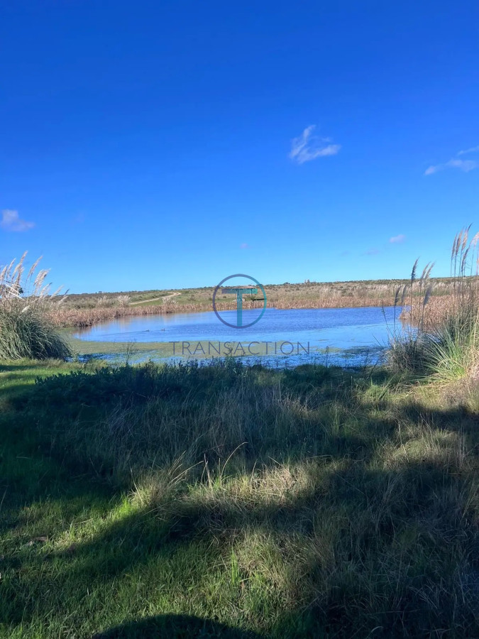 Chacra ID.1102/Jose-Ignacio - Venta de Chacra Maritima Manantiales