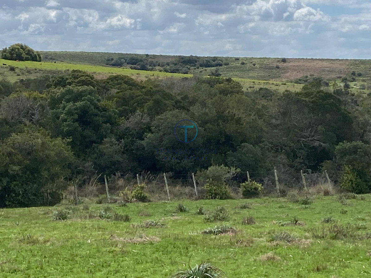 Chacra ID.1365/Ruta-39,-Km-46 - CHACRA EN GARZÓN 10HAS