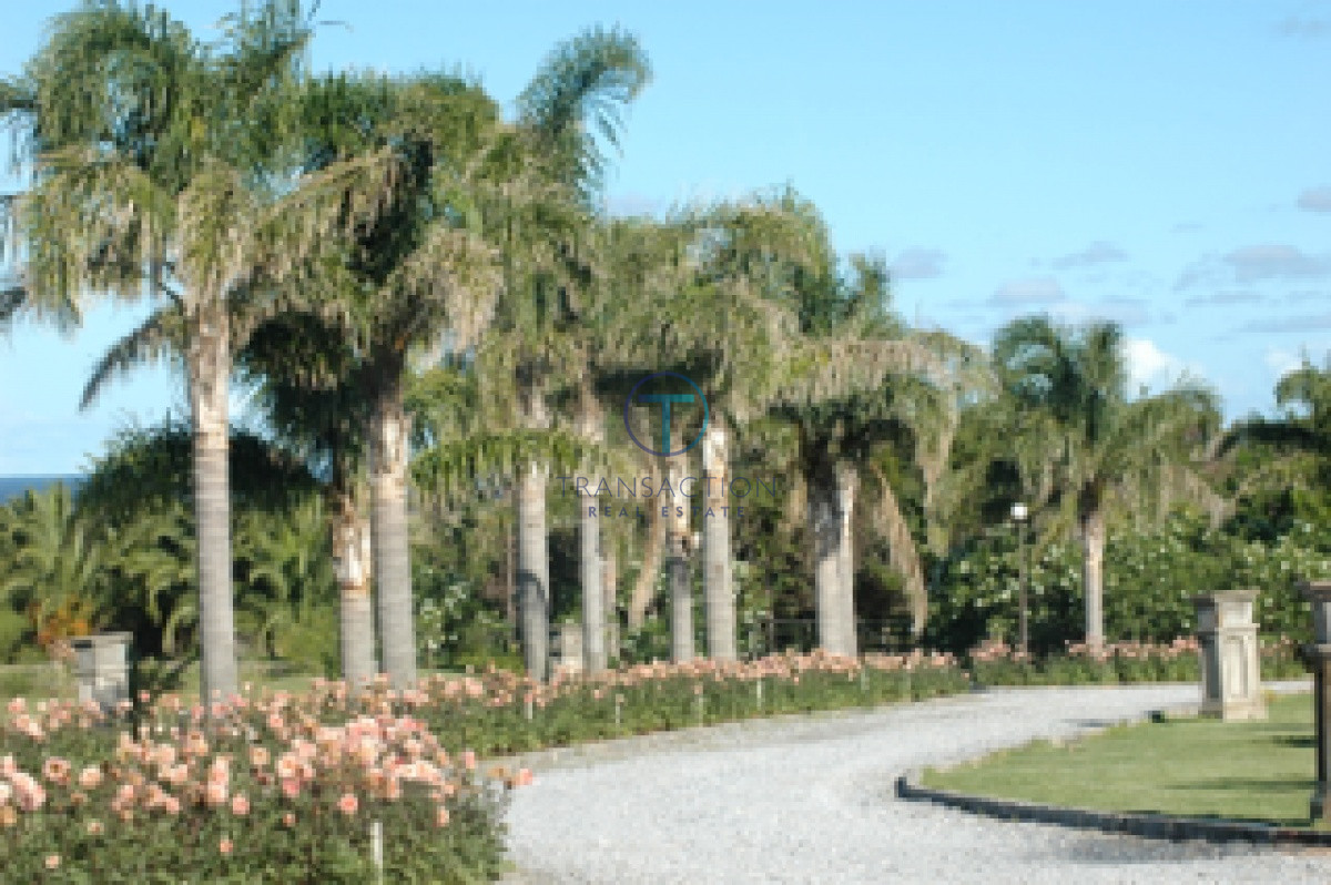 Chacra ID.262/Chacras-en-Venta--Transaction-Real-Estate - Chacra Exclusiva en Ruta 104