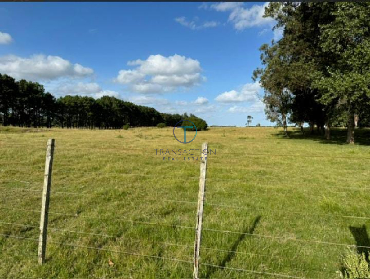 Chacra ID.1488/Espectacular-Chacra-en-Eguzquiza--LA-BARRA - 