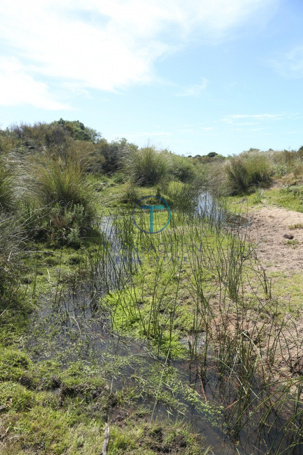 Chacra ID.176 - Venta en Garzon 2