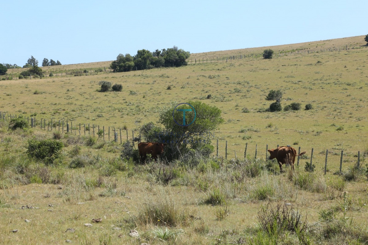 Chacra ID.176 - Venta en Garzon 2
