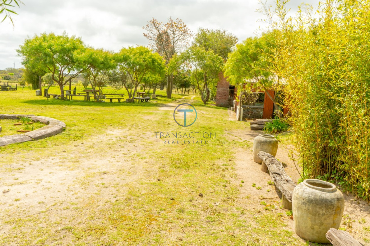 Chacra ID.233/Chacras-en-Venta--Transaction-Real-Estate - Jose Ignacio