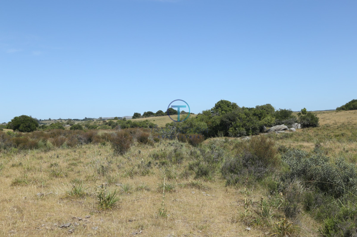Chacra ID.176 - Venta en Garzon 2