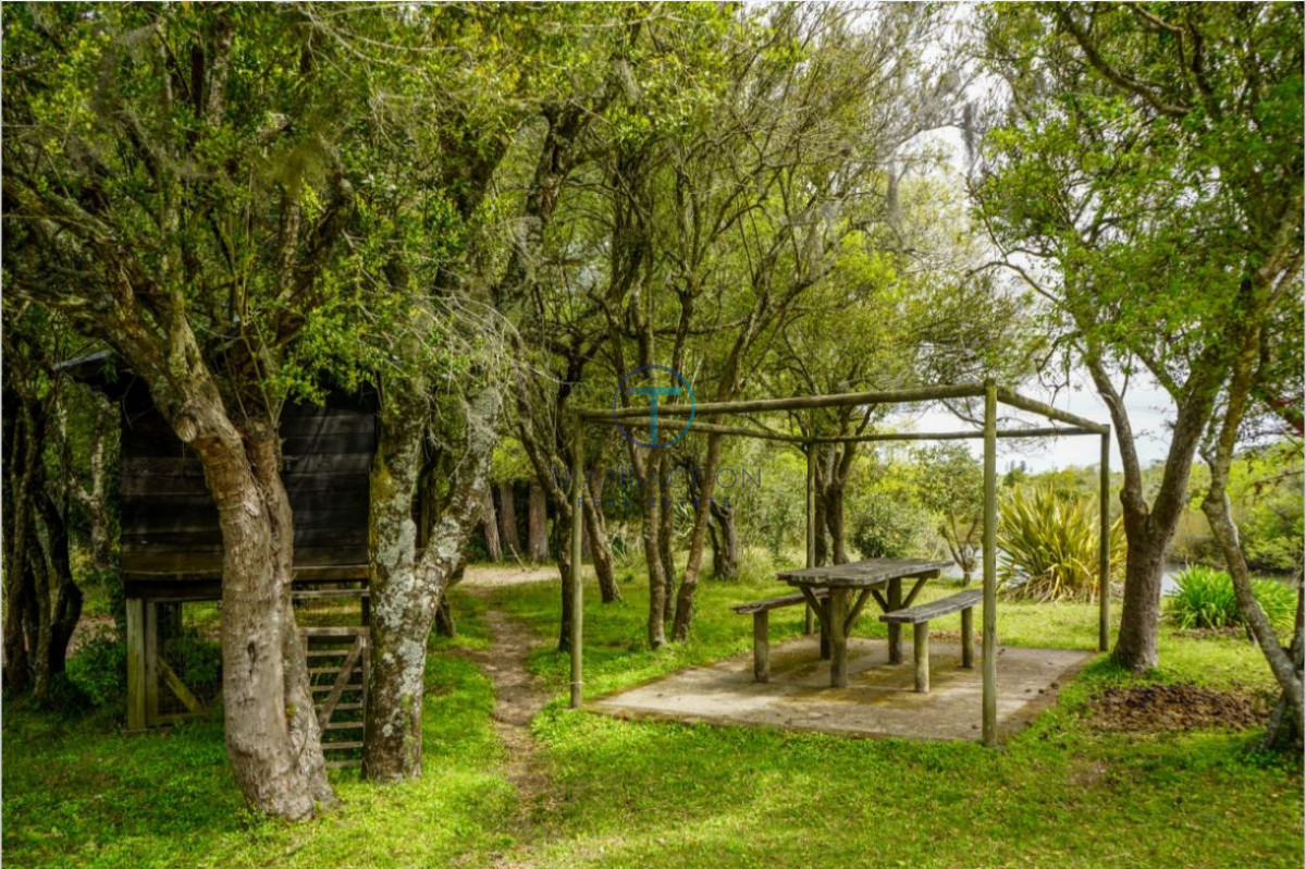 Chacra ID.233/Chacras-en-Venta--Transaction-Real-Estate - Jose Ignacio
