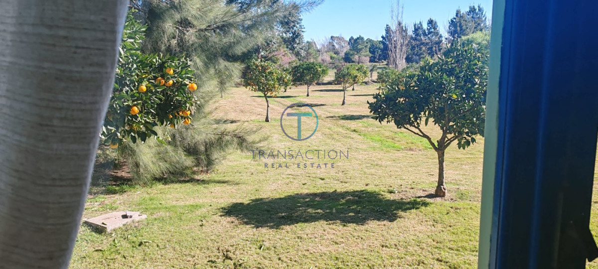 Chacra ID.1513 - 