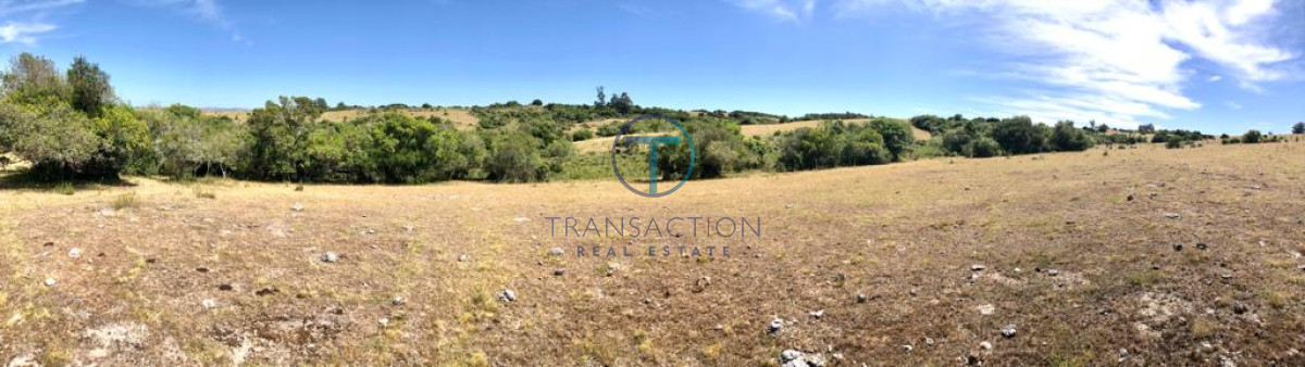 Chacra ID.176 - Venta en Garzon 2