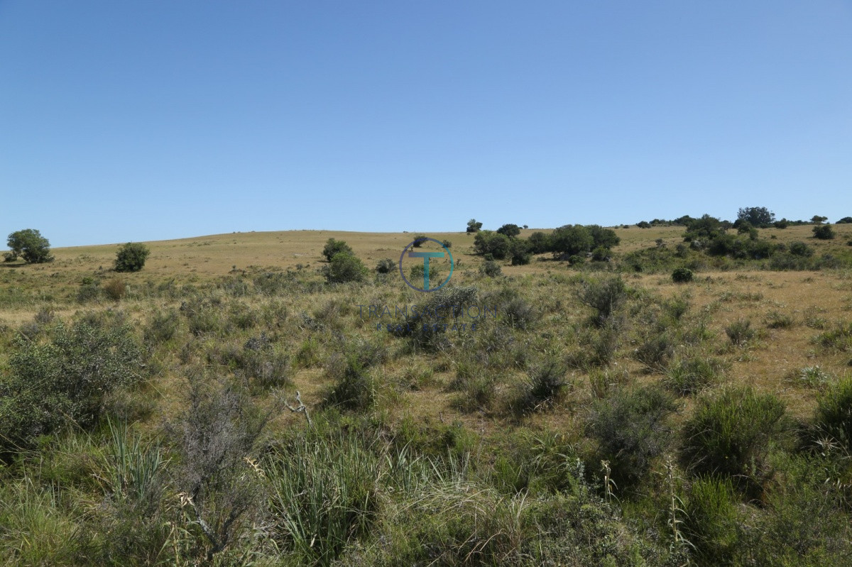 Chacra ID.176 - Venta en Garzon 2