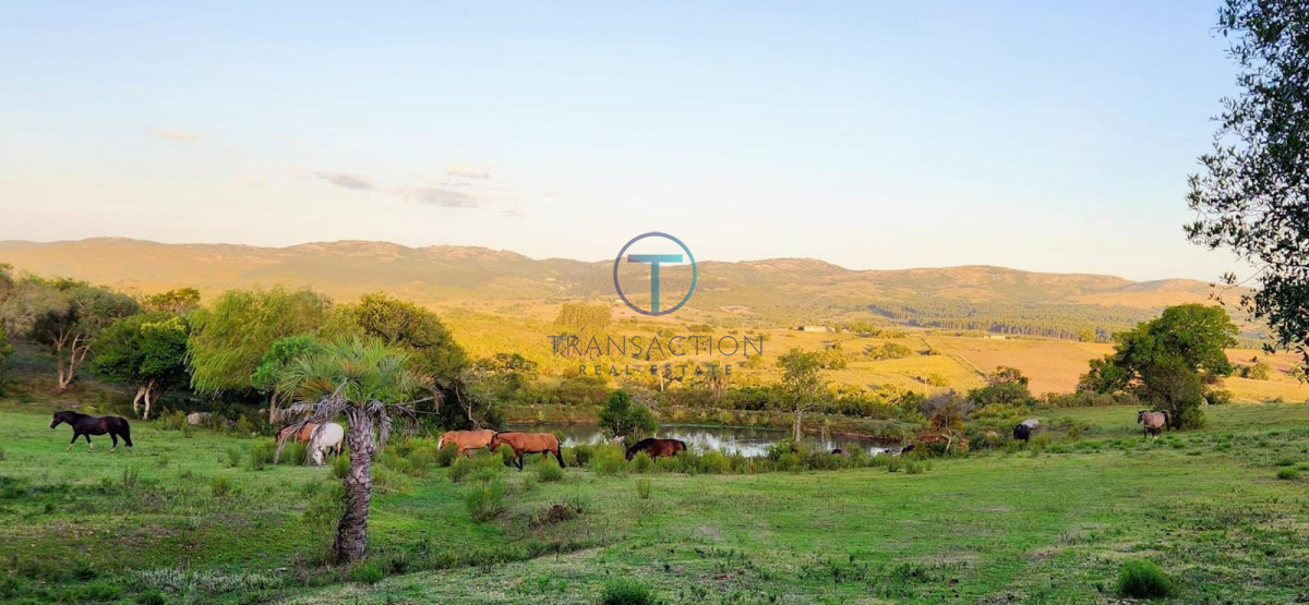 Chacra ID.1644/Ruta-39,-Km-46 - Chacra en Las Cañas , 13ha