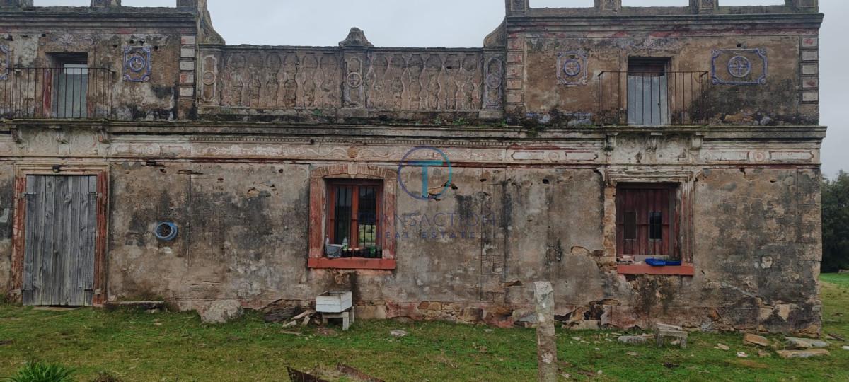 Chacra ID.1688/Chacra,-5-has.-en-Maldonado-,-MEDELLIN - Chacra 50 hs - Aiguá