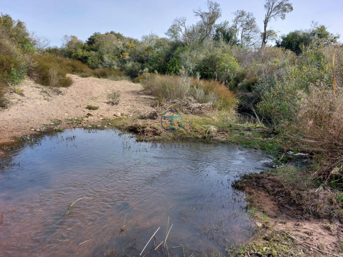 Chacra ID.1644/Ruta-39,-Km-46 - Chacra en Las Cañas , 13ha
