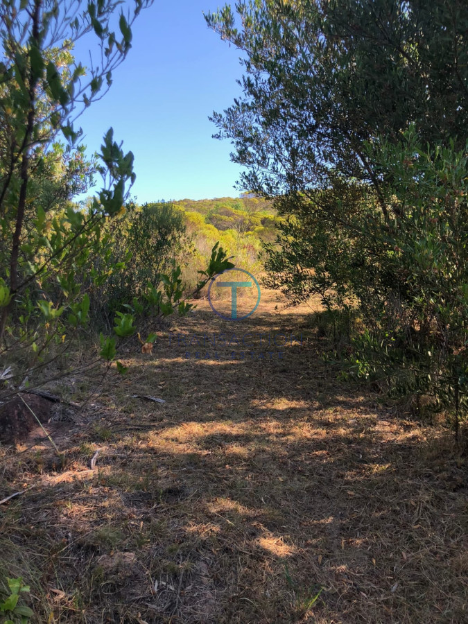 Chacra ID.1126/Chacra-la-Barra - Ruta 39, Km 46