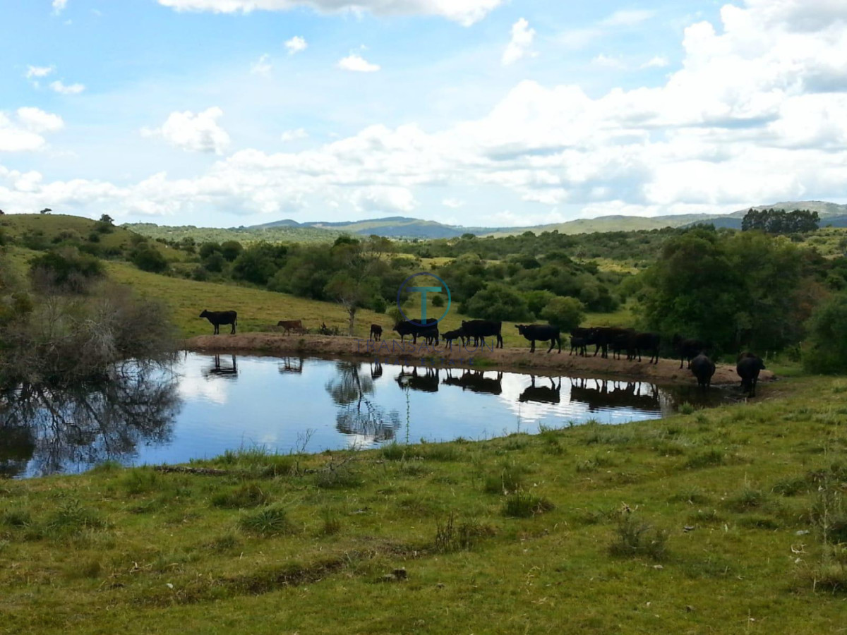 Chacra ID.1644/Ruta-39,-Km-46 - Chacra en Las Cañas , 13ha