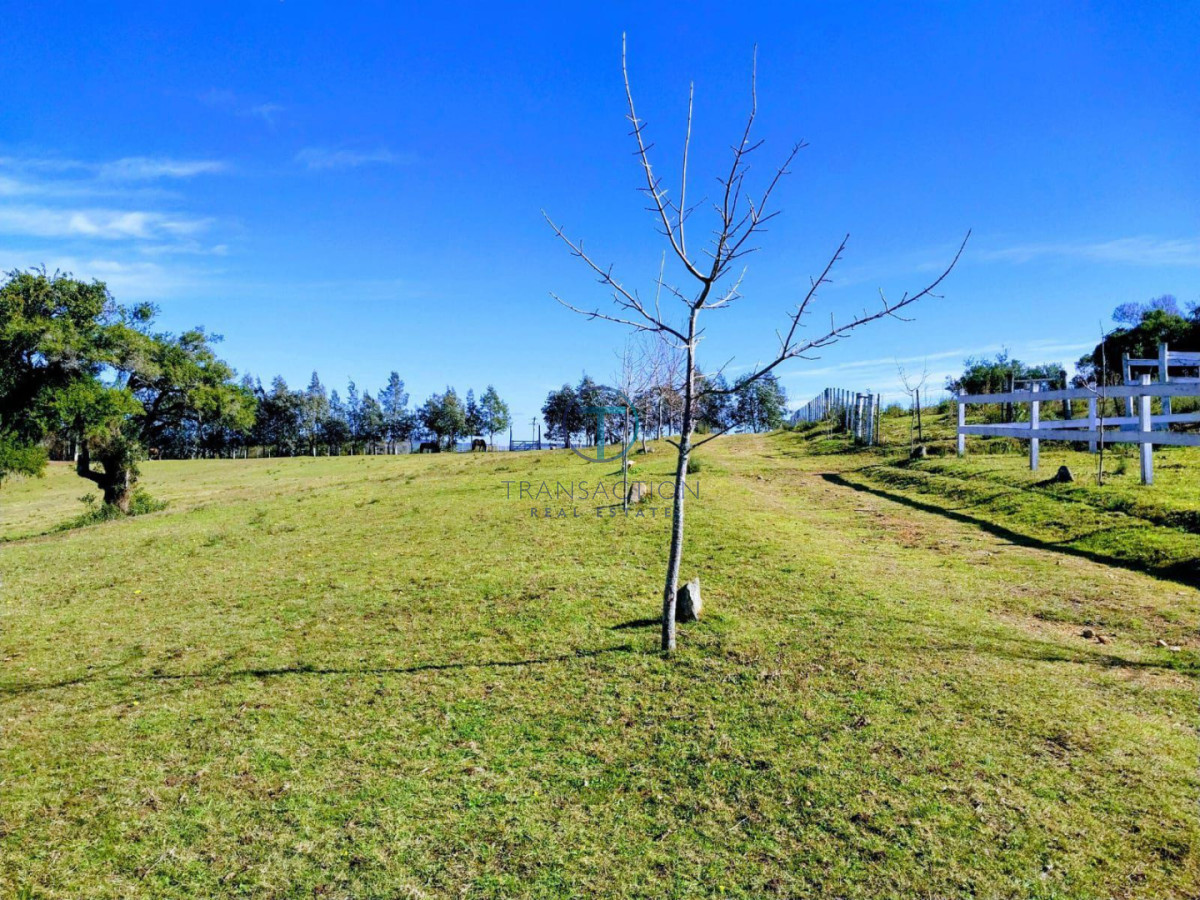 Chacra ID.1644/Ruta-39,-Km-46 - Chacra en Las Cañas , 13ha