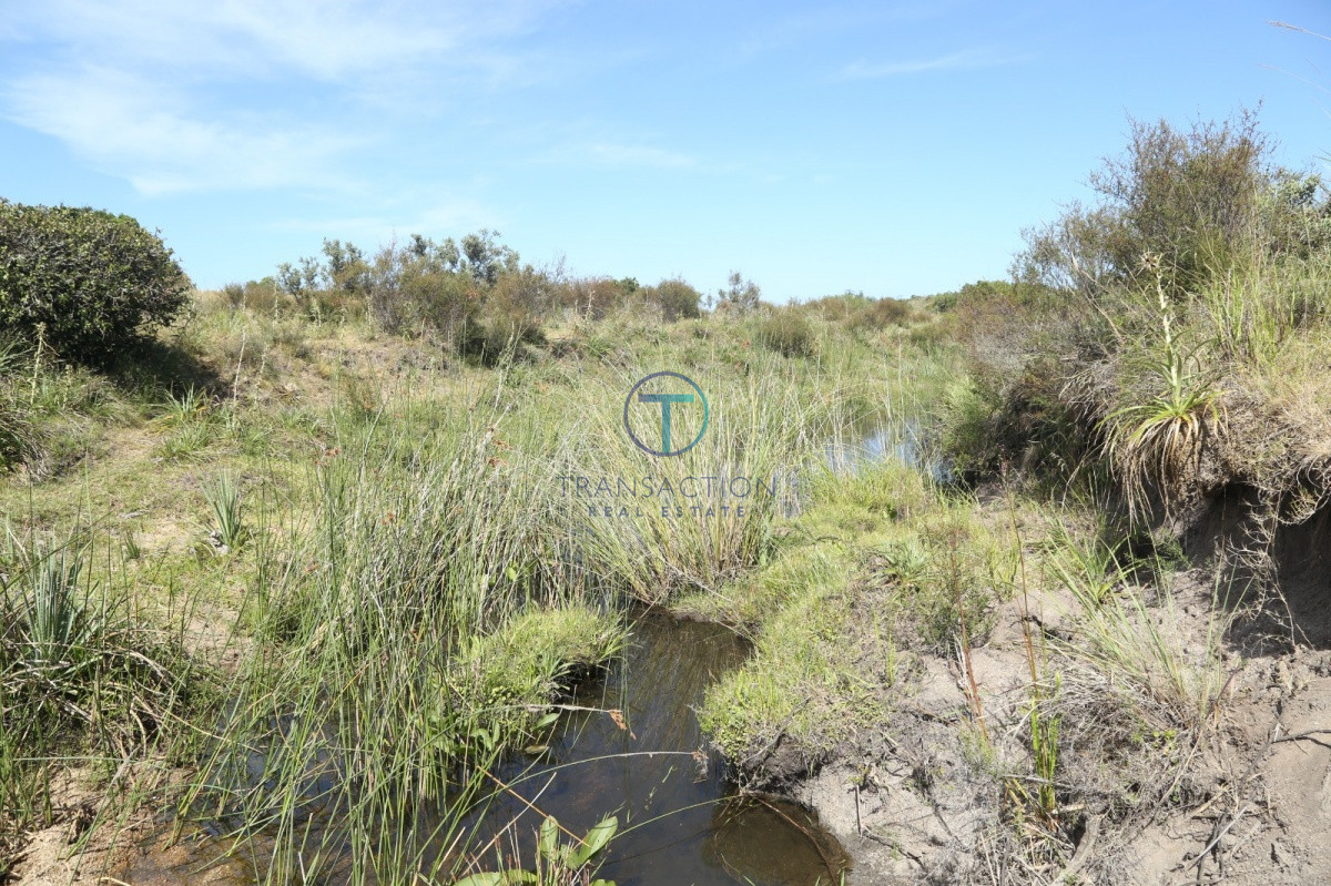 Chacra ID.176 - Venta en Garzon 2