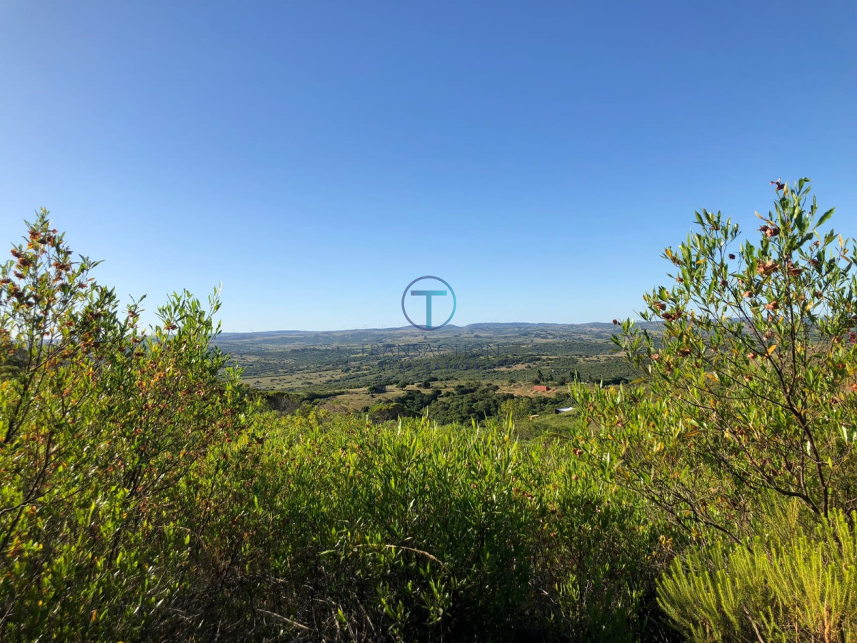 Chacra ID.1126/Chacra-la-Barra - Ruta 39, Km 46