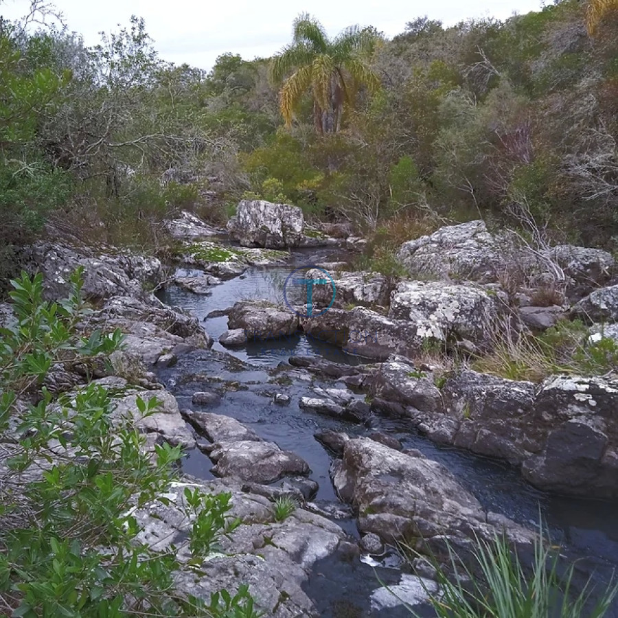 Chacra ID.366/Ruta-39,-Km-46 - 