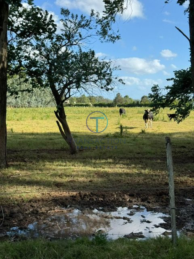 Chacra ID.1116/Venta-en-Garzon-2 - Chacra la Barra