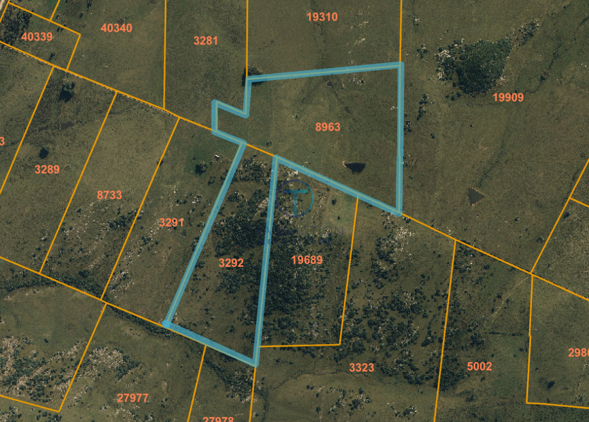 Chacra ID.1688/Chacra,-5-has.-en-Maldonado-,-MEDELLIN - Chacra 50 hs - Aiguá