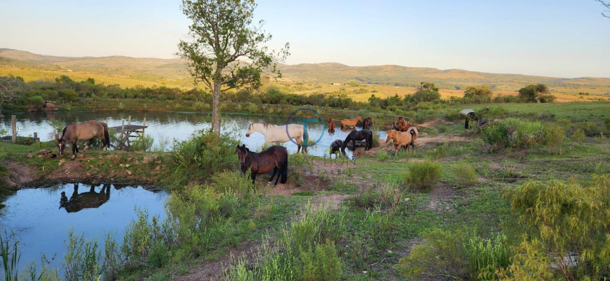 Chacra ID.1644/Ruta-39,-Km-46 - Chacra en Las Cañas , 13ha