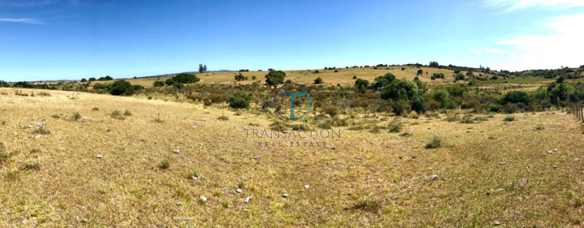 Chacra ID.176 - Venta en Garzon 2