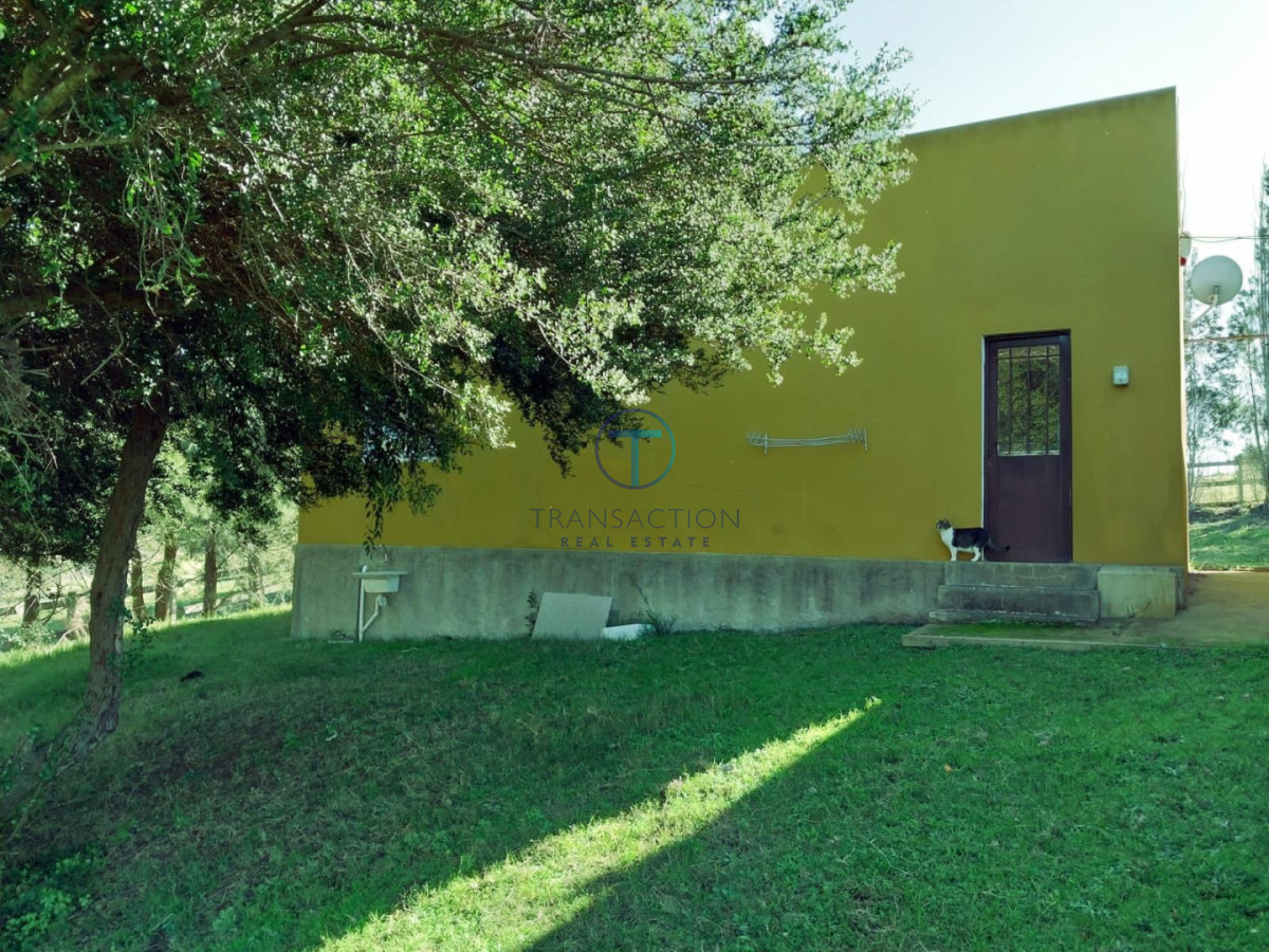 Chacra ID.1644/Ruta-39,-Km-46 - Chacra en Las Cañas , 13ha