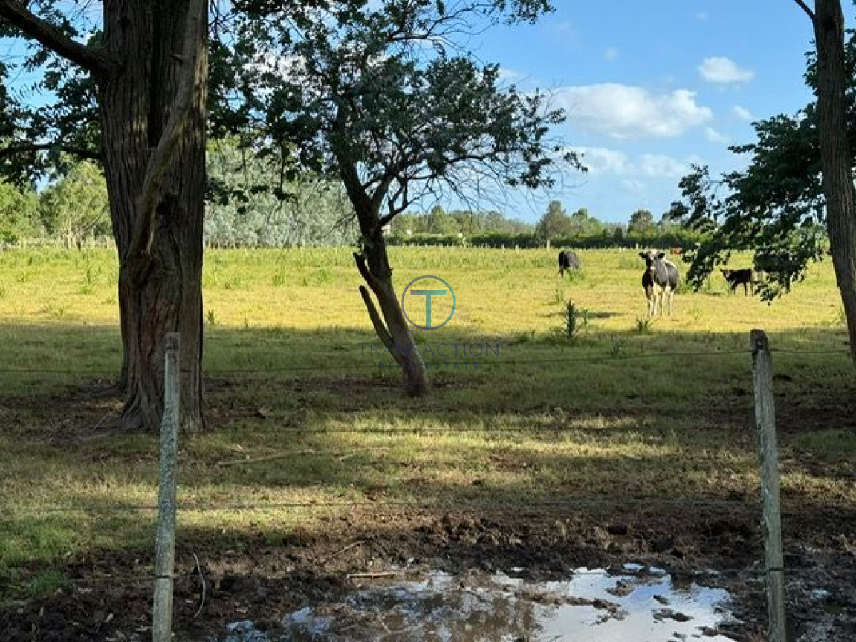 Chacra ID.1116/Venta-en-Garzon-2 - Chacra la Barra