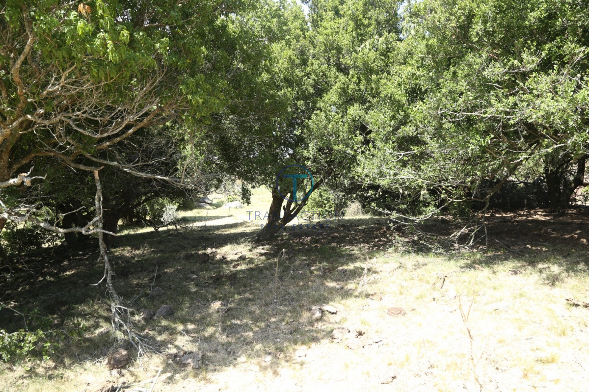 Chacra ID.176 - Venta en Garzon 2