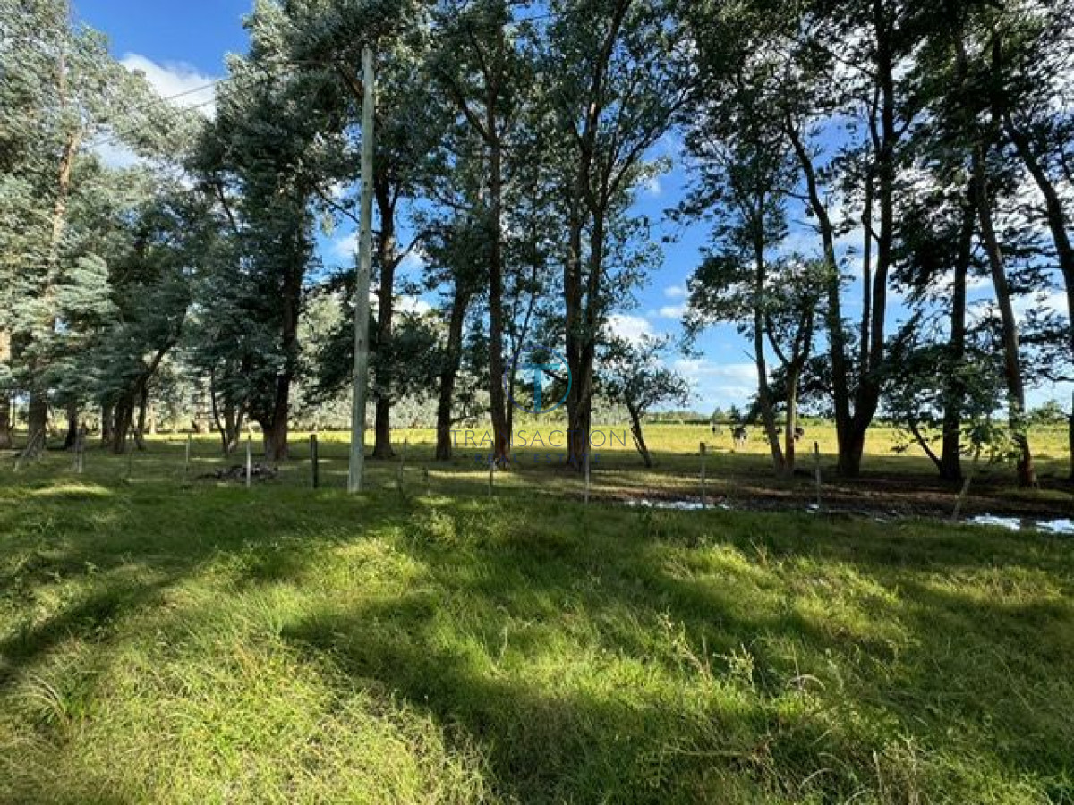 Chacra ID.1116/Venta-en-Garzon-2 - Chacra la Barra