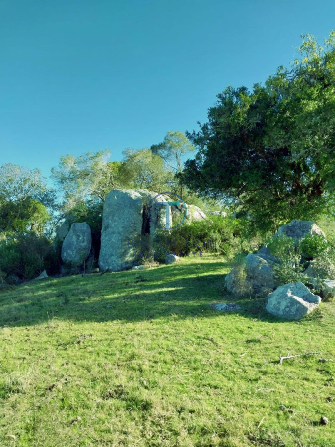 Chacra ID.1644/Ruta-39,-Km-46 - Chacra en Las Cañas , 13ha