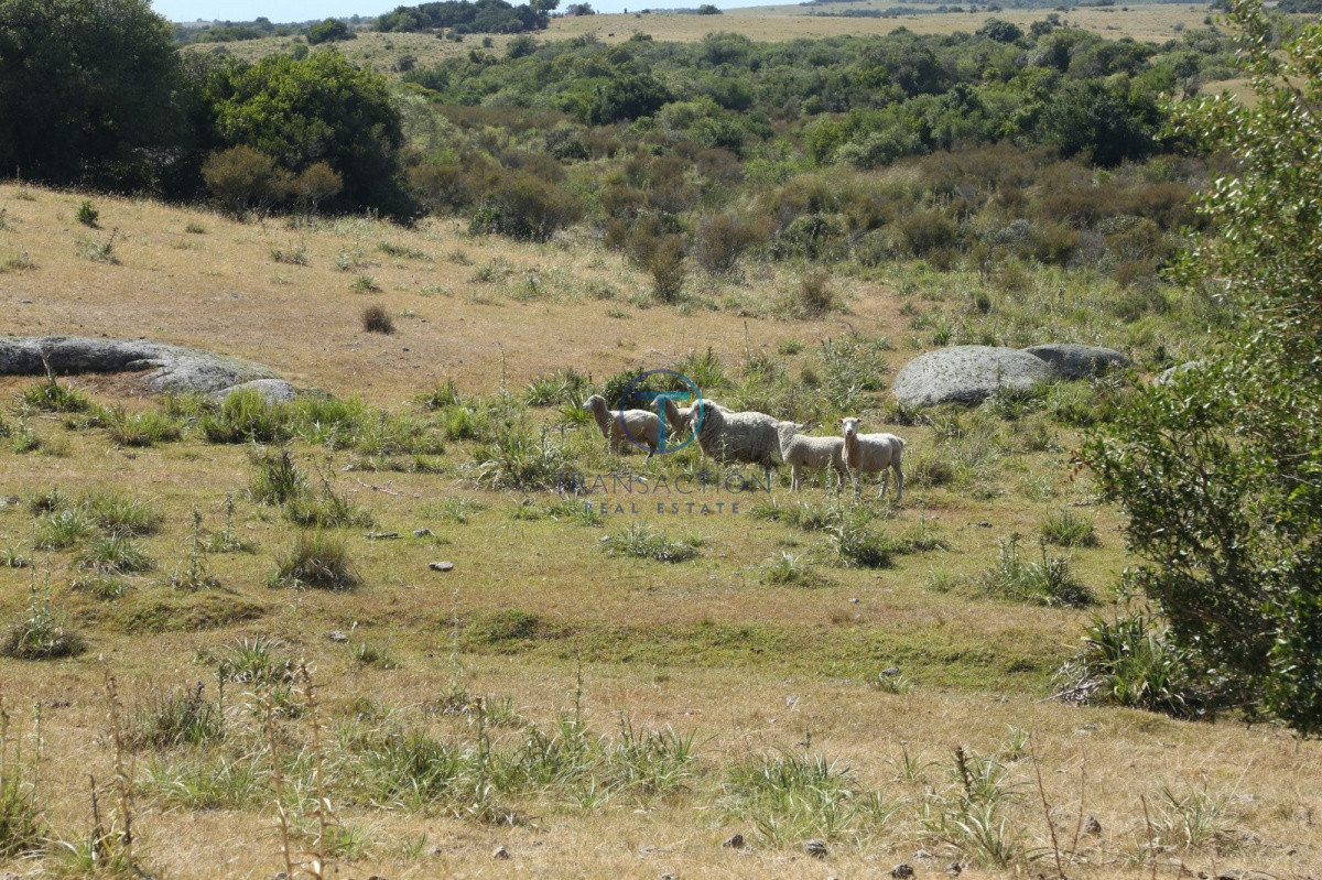Chacra ID.176 - Venta en Garzon 2