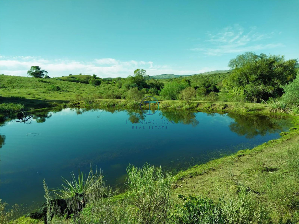 Chacra ID.1644/Ruta-39,-Km-46 - Chacra en Las Cañas , 13ha