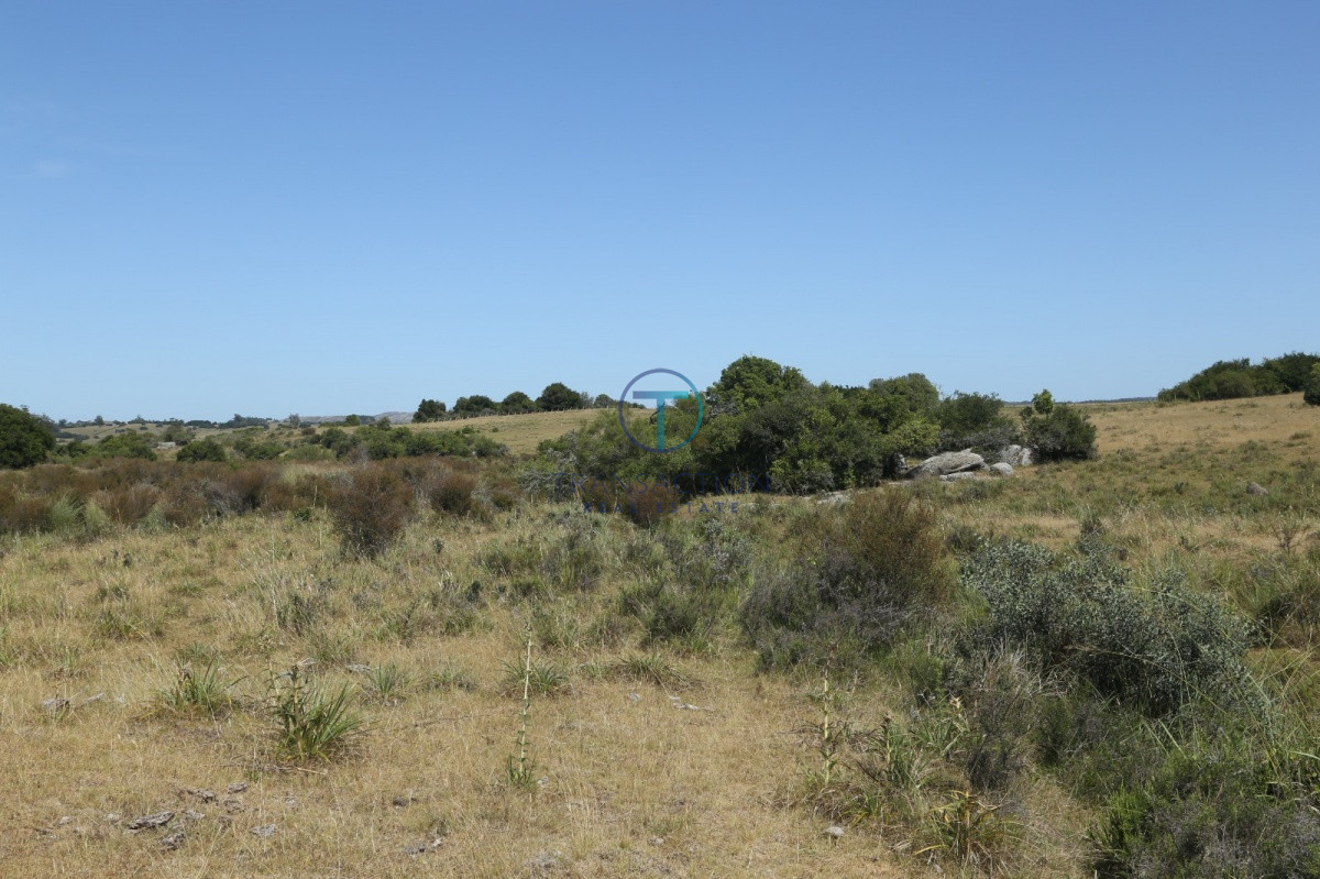 Chacra ID.176 - Venta en Garzon 2