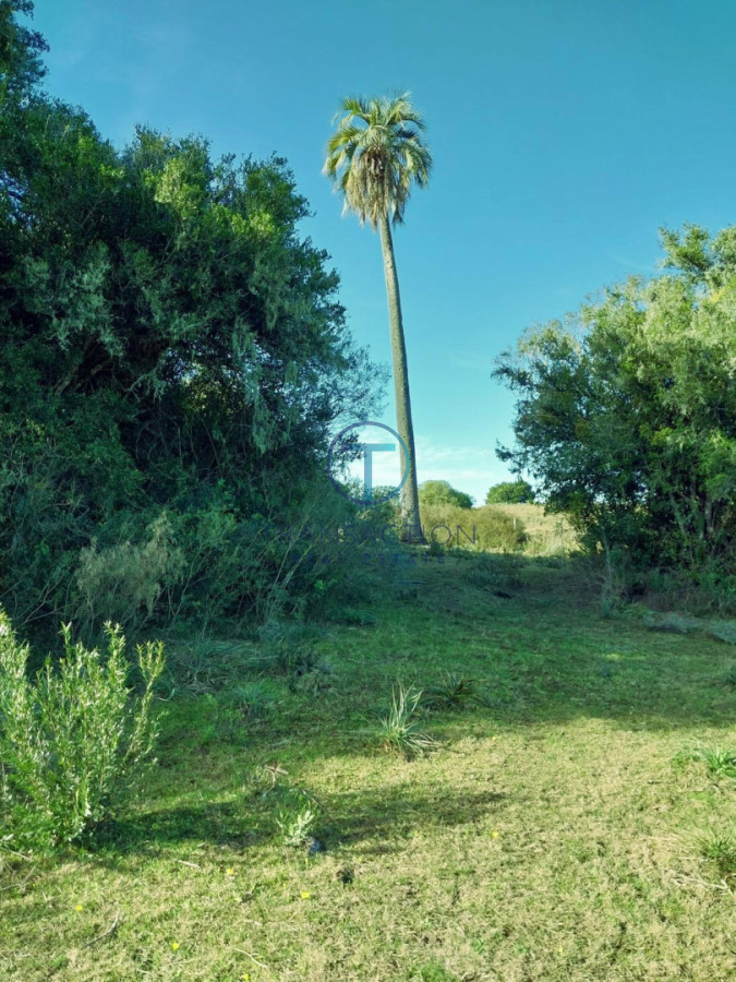 Chacra ID.1644/Ruta-39,-Km-46 - Chacra en Las Cañas , 13ha