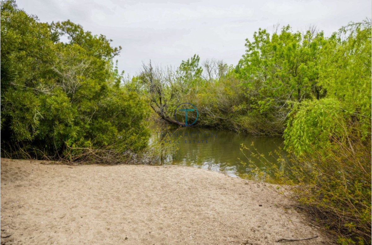 Chacra ID.233/Chacras-en-Venta--Transaction-Real-Estate - Jose Ignacio