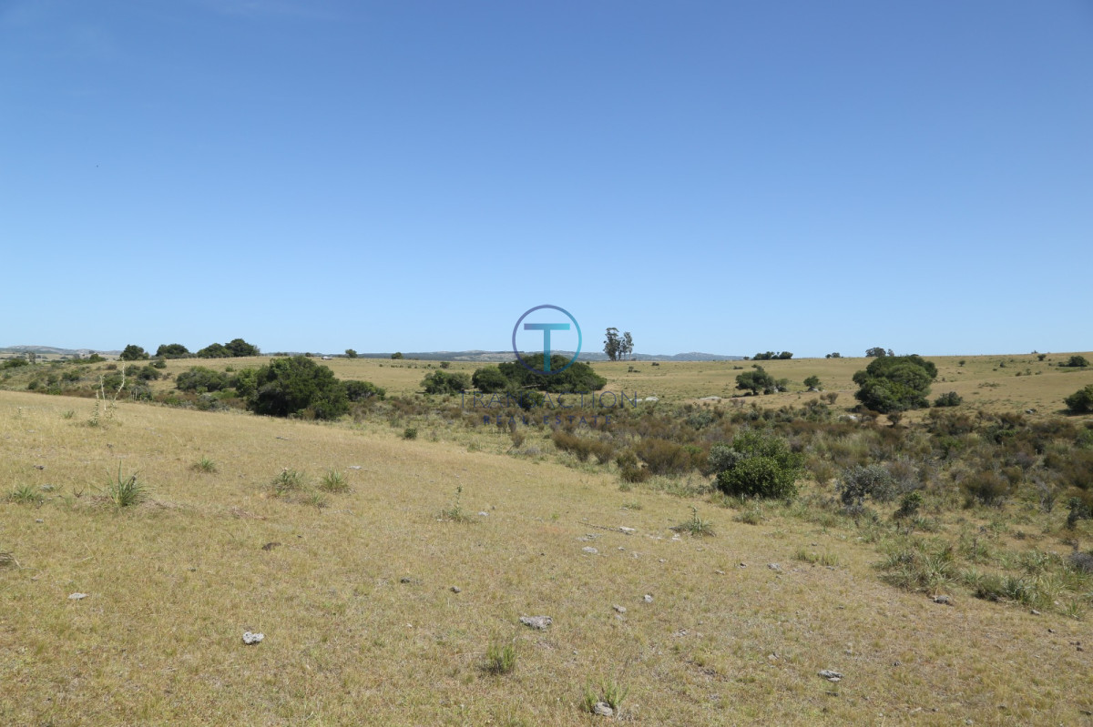 Chacra ID.176 - Venta en Garzon 2