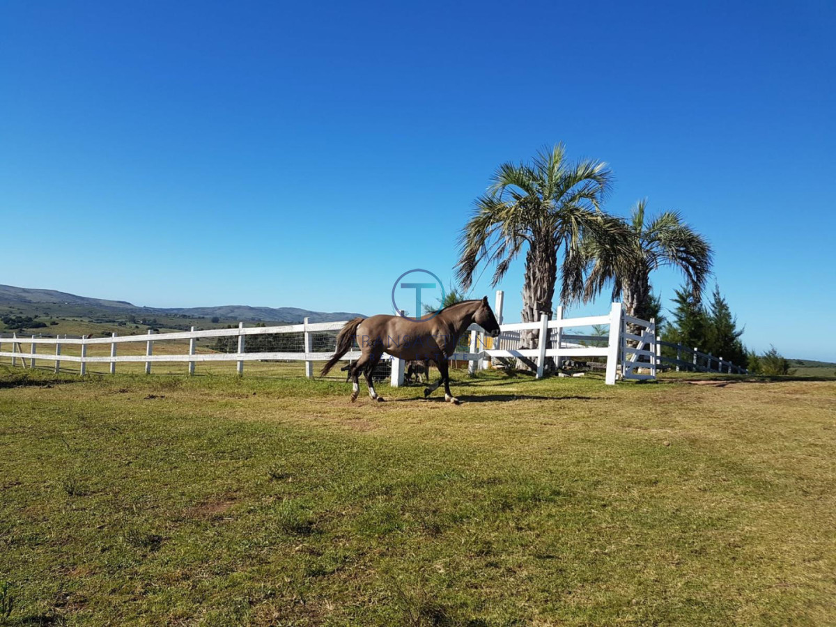 Chacra ID.1644/Ruta-39,-Km-46 - Chacra en Las Cañas , 13ha