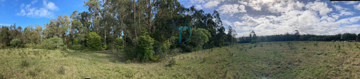 Chacra ID.367 - Chacra lussich