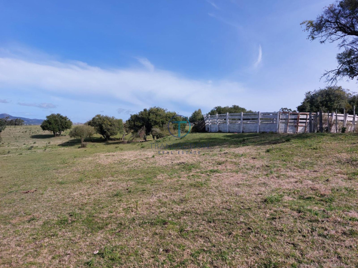 Chacra ID.1644/Ruta-39,-Km-46 - Chacra en Las Cañas , 13ha