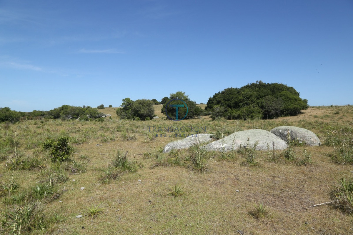 Chacra ID.176 - Venta en Garzon 2