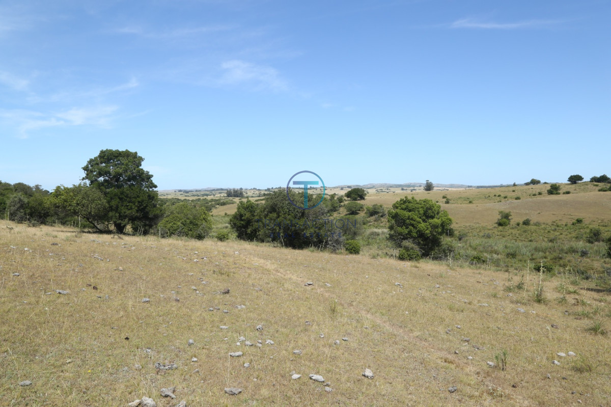 Chacra ID.176 - Venta en Garzon 2