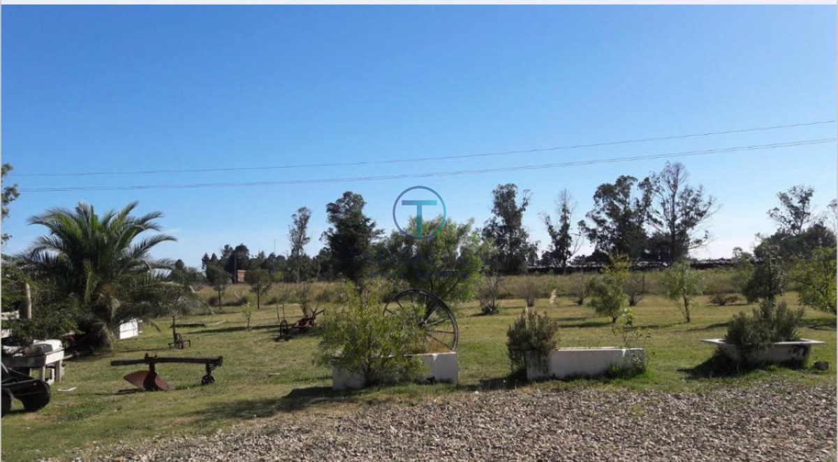 Chacra ID.1339/Venta-en-Garzon-2 - CHACRA San Carlos 3ha