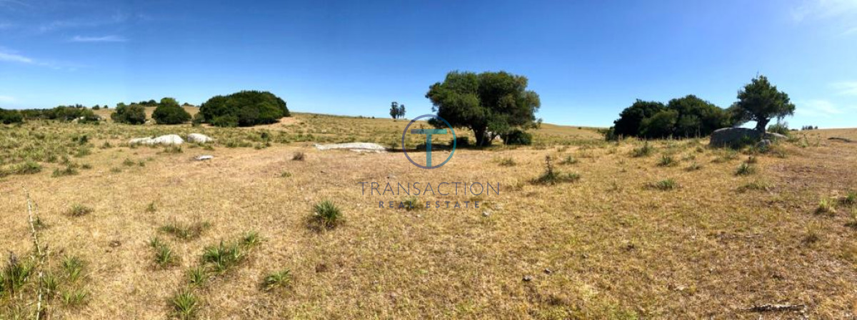 Chacra ID.176 - Venta en Garzon 2