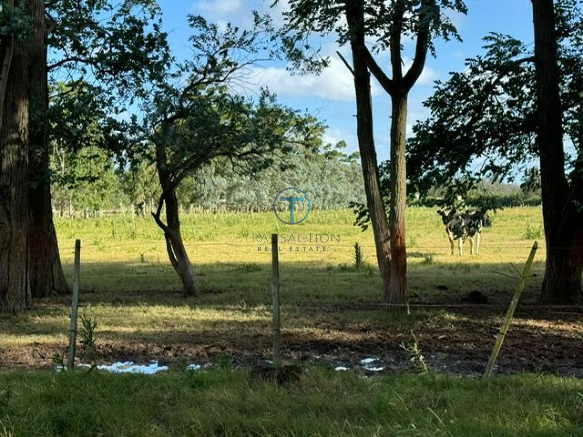 Chacra ID.1116/Venta-en-Garzon-2 - Chacra la Barra
