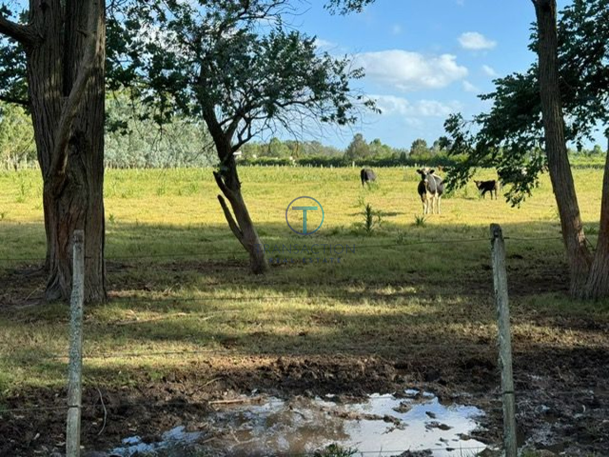 Chacra ID.1116/Venta-en-Garzon-2 - Chacra la Barra
