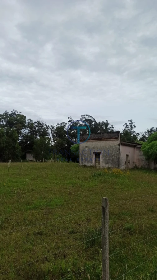 Chacra ID.367 - Chacra lussich