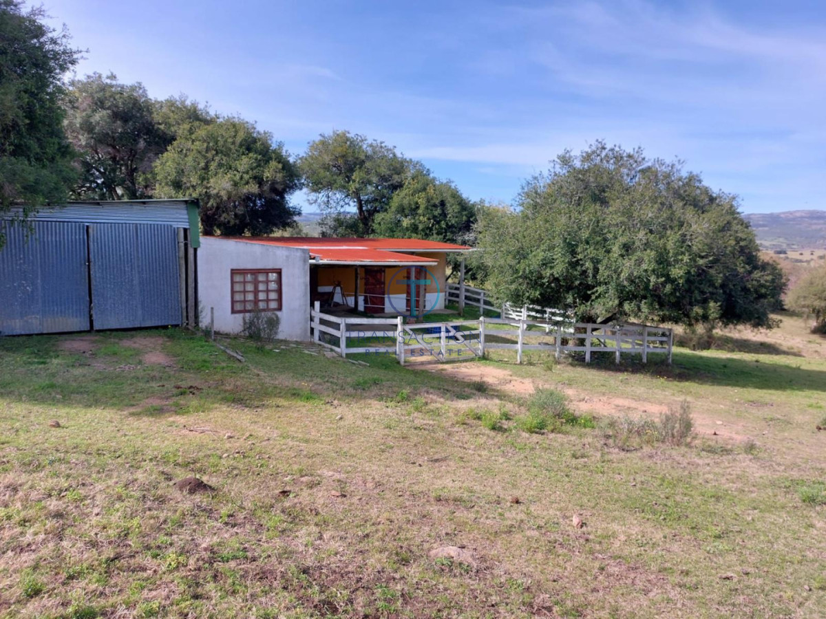 Chacra ID.1644/Ruta-39,-Km-46 - Chacra en Las Cañas , 13ha